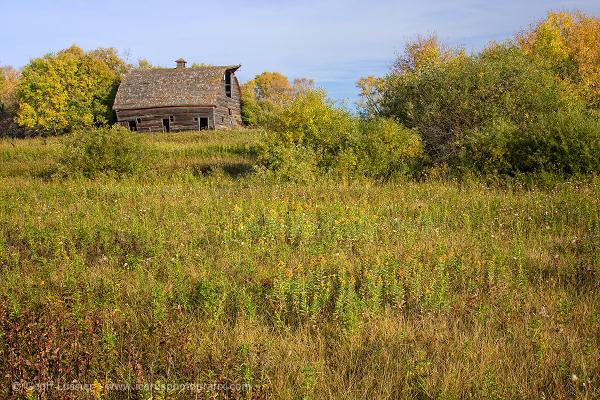 Old Barn in Fall, Virden, Manitoba