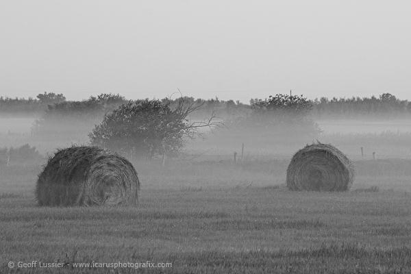 Morning Fog and Hay Bales