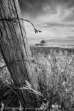 Old Farm House and Barbed Wire, Wapella, Saskatchewan - IR