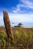 Old Farm House and Barbed Wire, Wapella, Saskatchewan