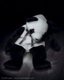 Teddy Panda Lightpaint