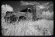 Old Delivery Truck, Grand Marais - IR