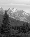 Banff Landscape B&W