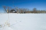 Winter Farm and Cattails, Cooks Creek